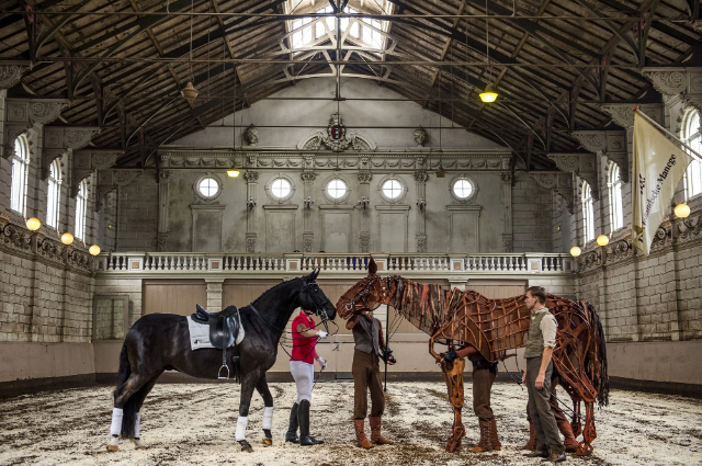 École d'équitation néerlandaise - Amsterdam | Secret World Trip Planner