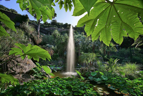 Ischia and The Gardens La mortella