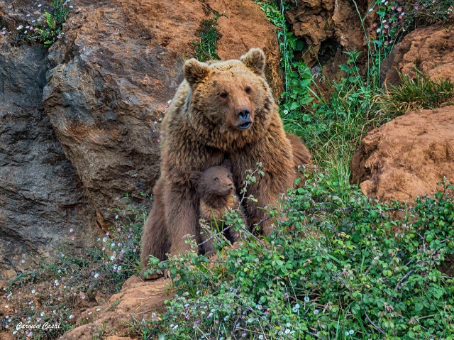 Naturpark Cabárceno - Cabárceno | Secret World Trip Planner