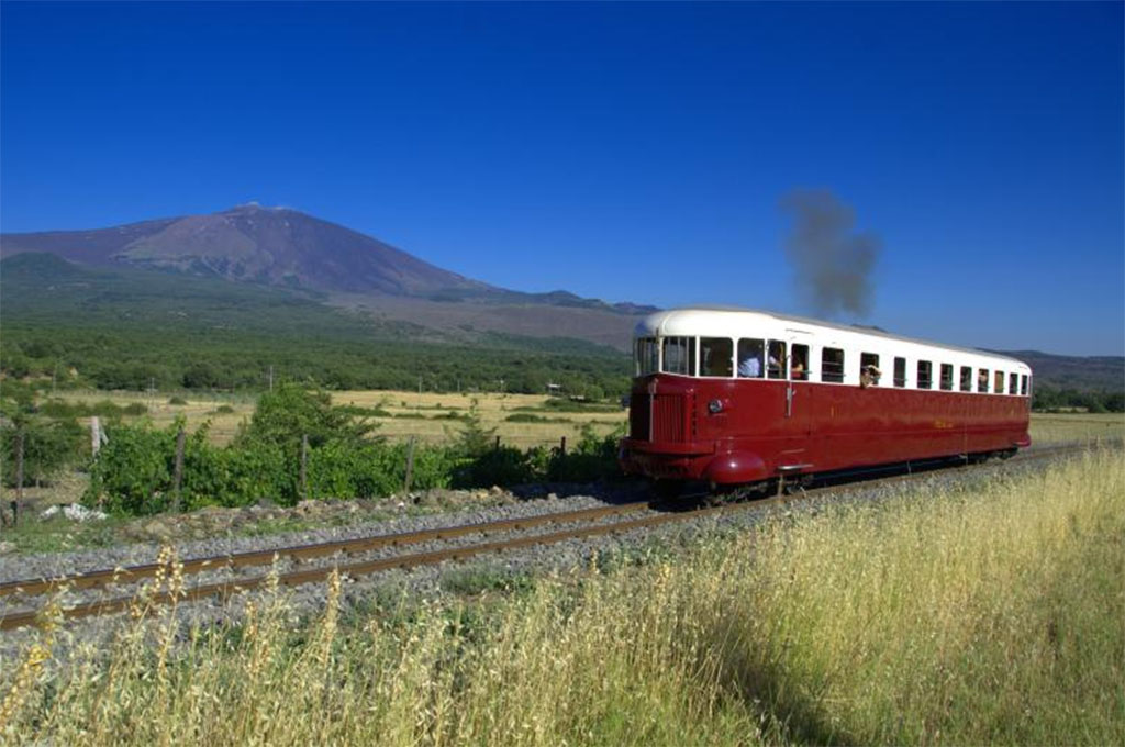 サーキュメットネア