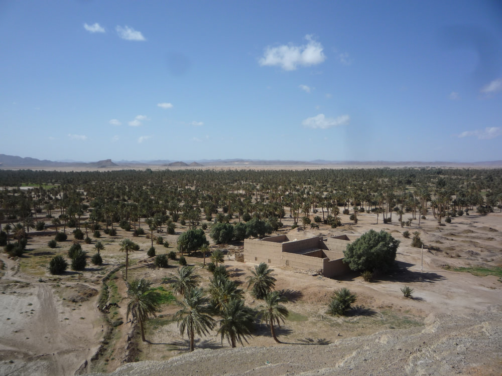 Tafilalt Oasis - Tafilalt | Secret World Trip Planner