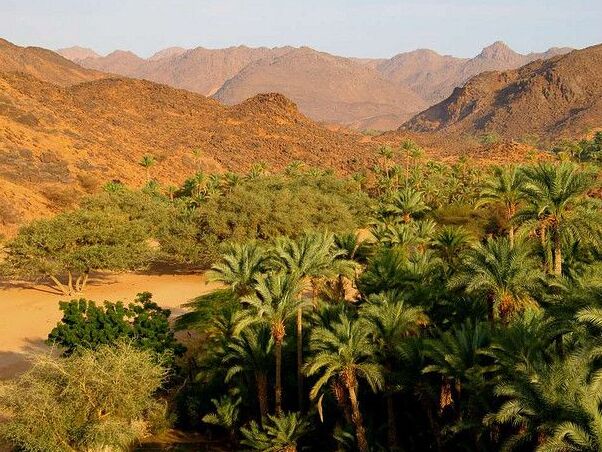 在尼日尔的蒂米亚绿洲 - Tafilalt | Secret World Trip Planner