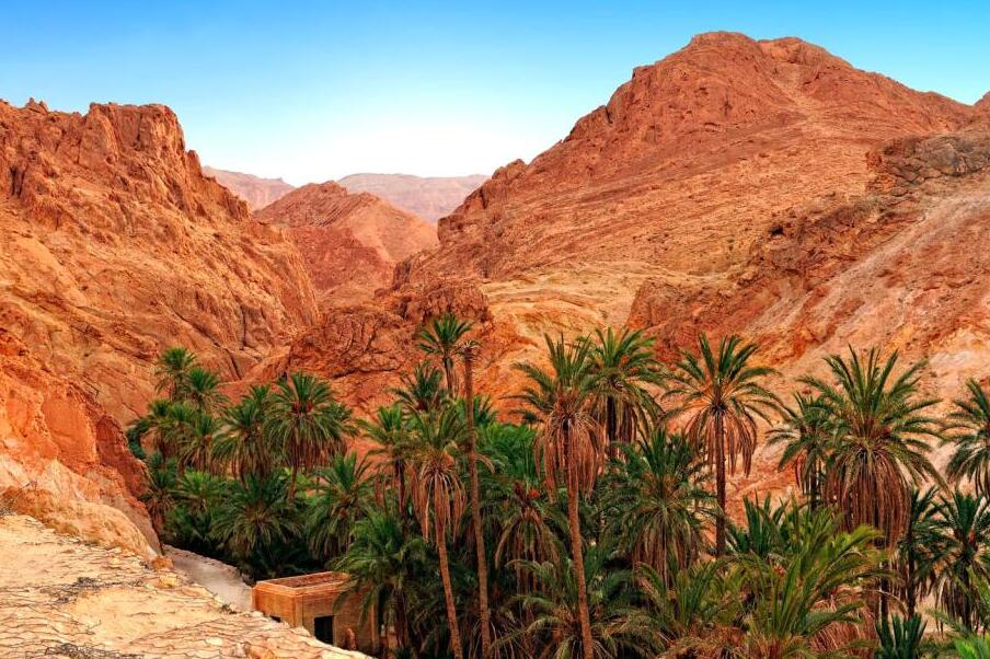 Tunisia, the Chebika Oasis | Secret World Trip Planner