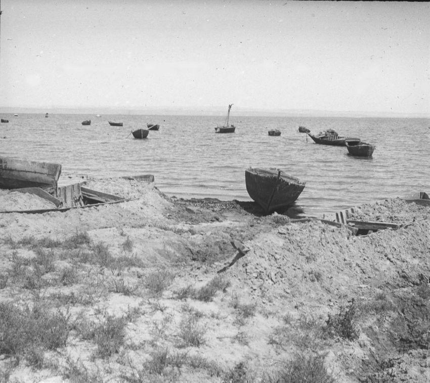 法尤姆绿洲，沙漠中隐藏的宝石 - Oasi del Fayyum | Secret World Trip Planner