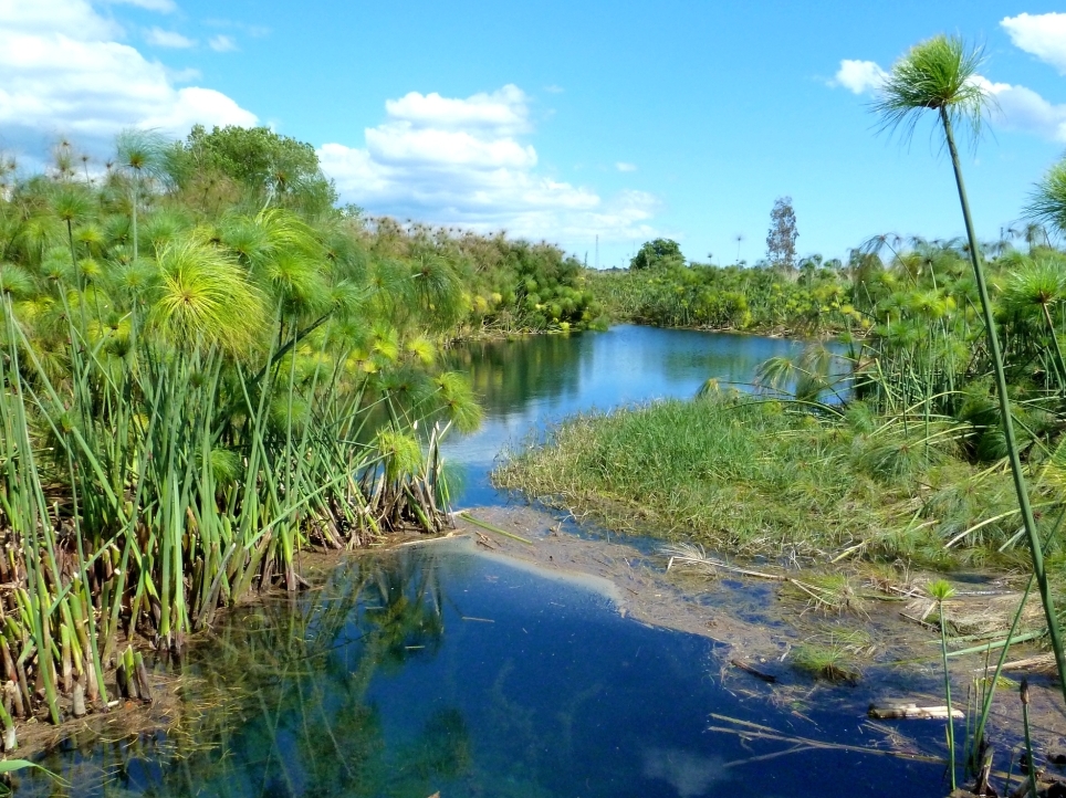 Папирус Миср ва Sicily - Siracusa | Secret World Trip Planner