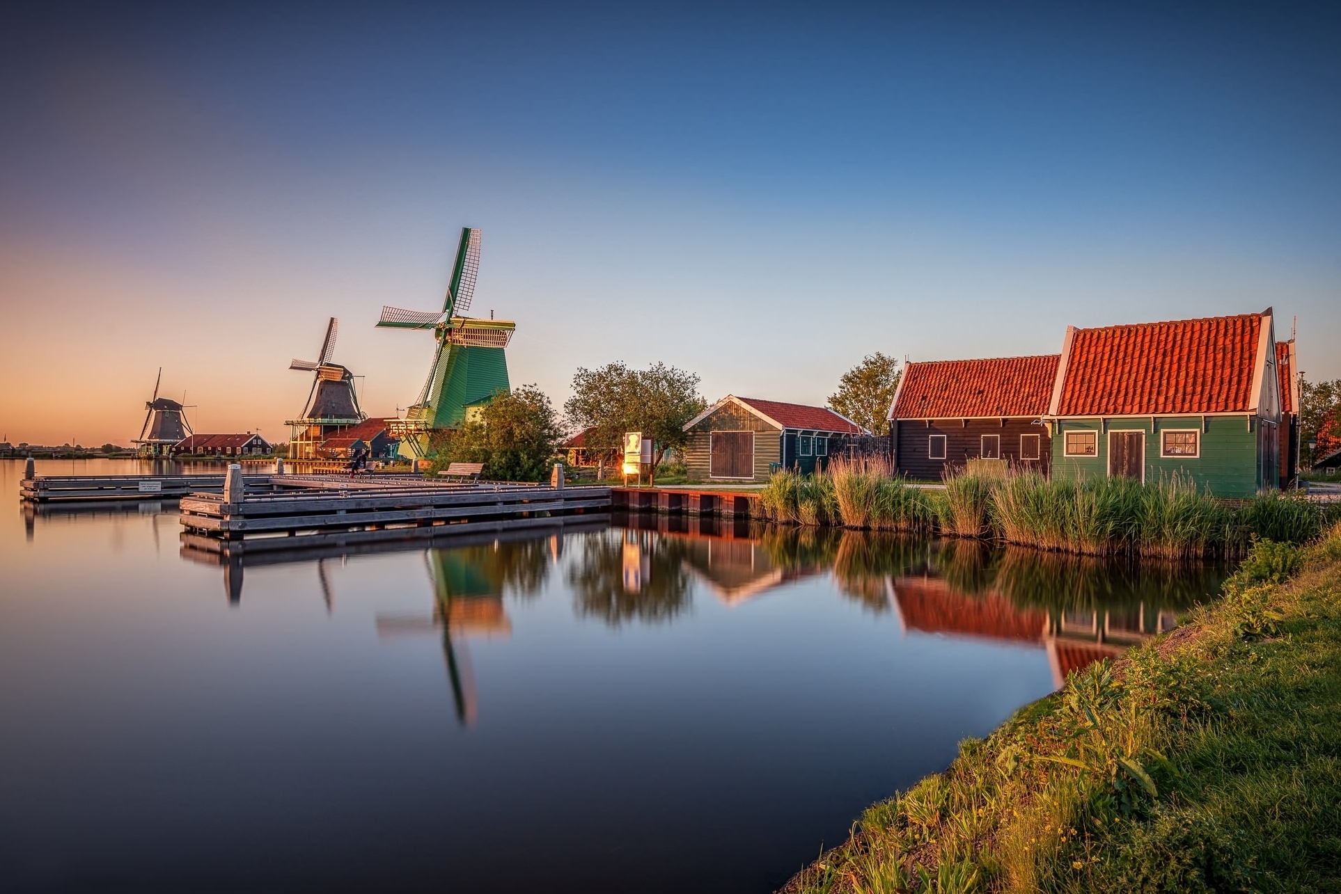 Splendide foto di mulini a vento circondati da campi di tulipani - Zaandam | Secret World Trip Planner