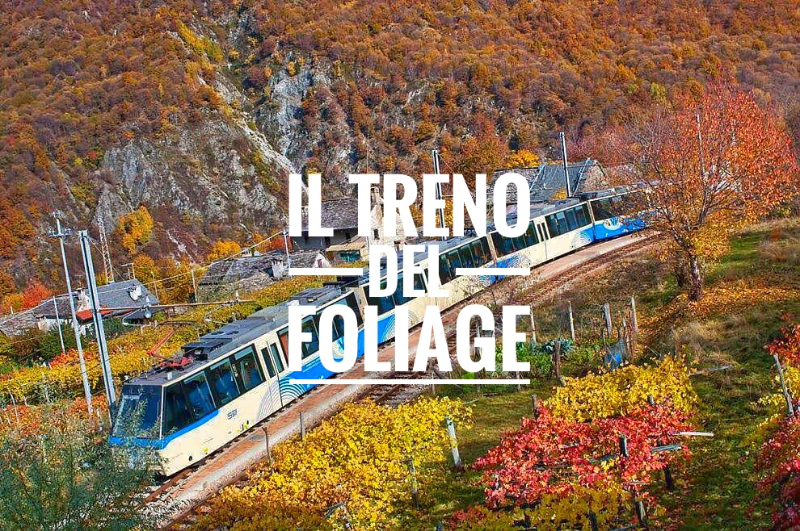 ਸੈਂਟੋਵੱਲੀ ਰੇਲਵੇ ਦੇ ਨਾਲ ਪੱਤੇ - Domodossola | Secret World Trip Planner