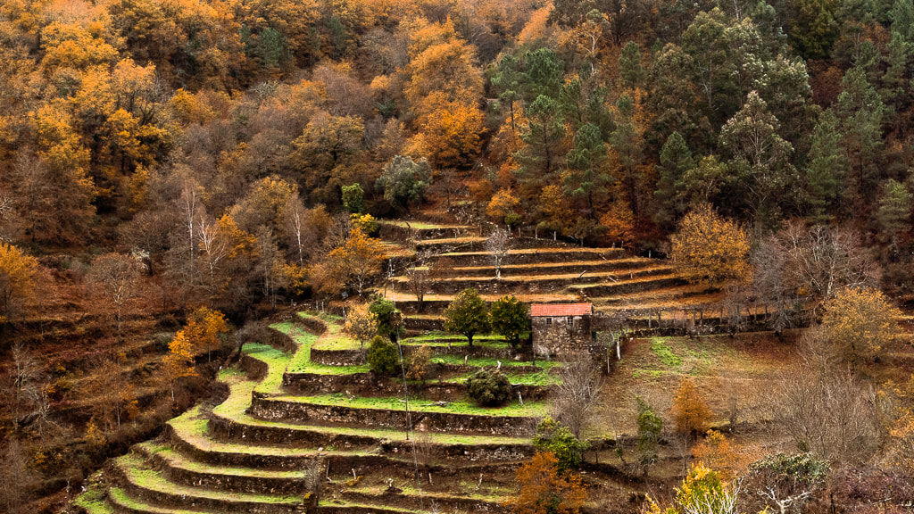Sistelo:작은 포르투갈 티베트 - Sistelo | Secret World Trip Planner