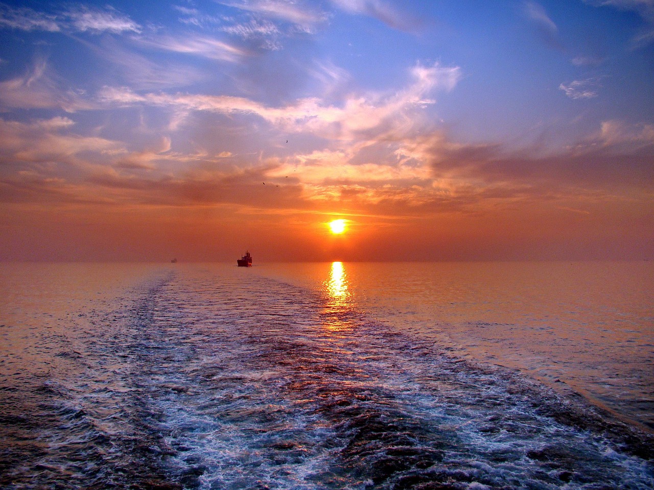 Le poisson Pigo, un délice du lac - Lecco | Secret World Trip Planner