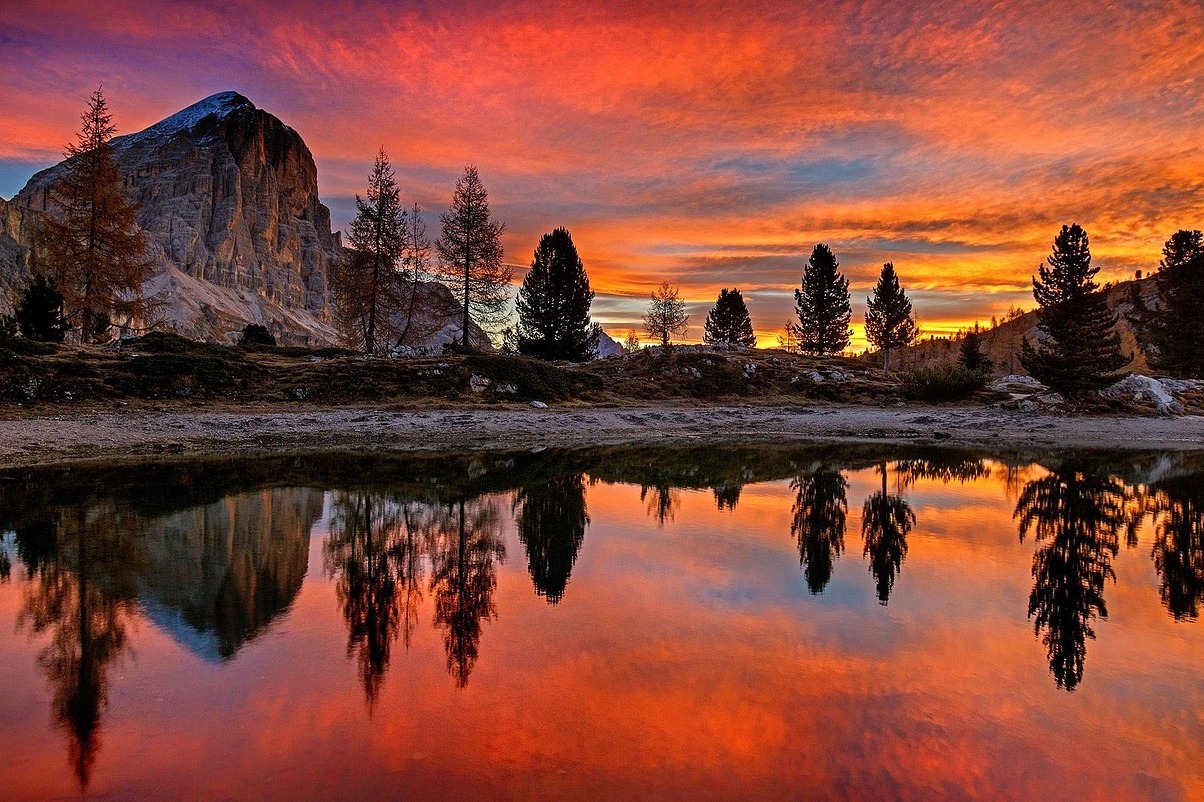 Padule di Fucecchio - Fucecchio | Secret World Trip Planner