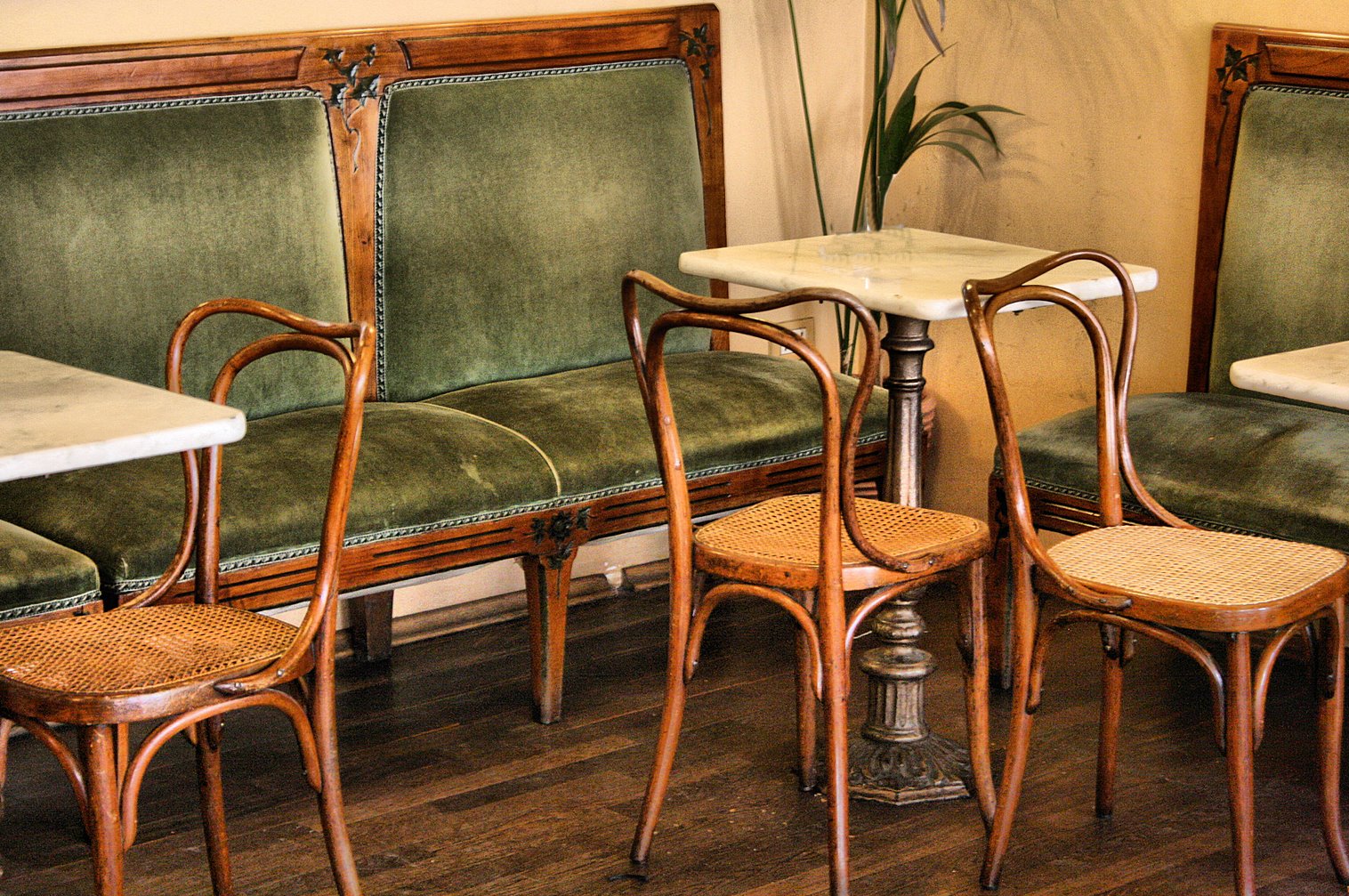 מותגים ומזון / זית Tenera Ascolana - Ascoli Piceno | Secret World Trip Planner