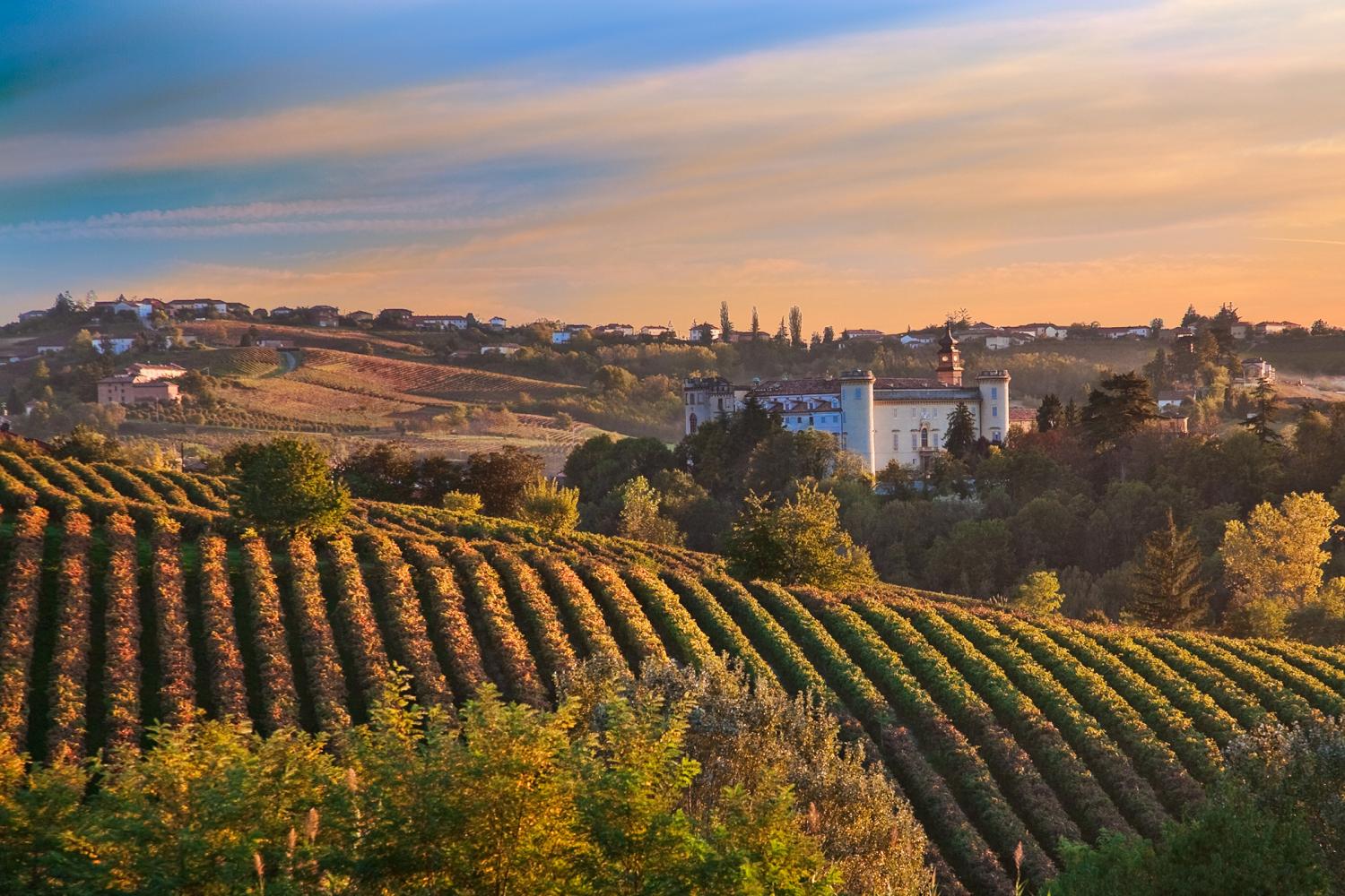 Barolo dan anggurnya - Barolo | Secret World Trip Planner