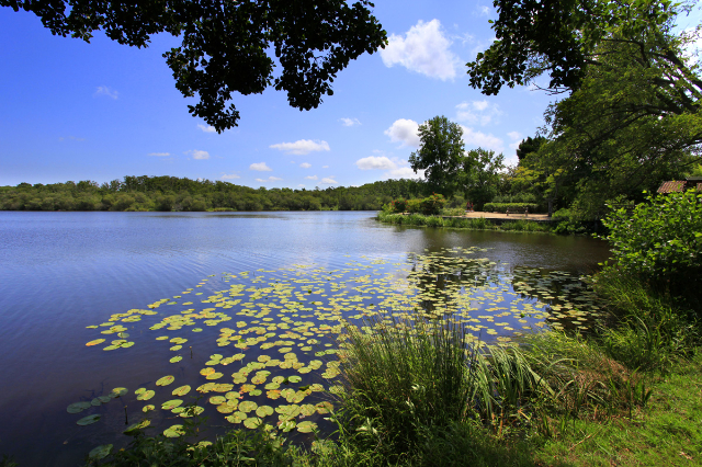 Il Lago Aureilhan и Winston Churchill - Aureilhan | Secret World Trip Planner