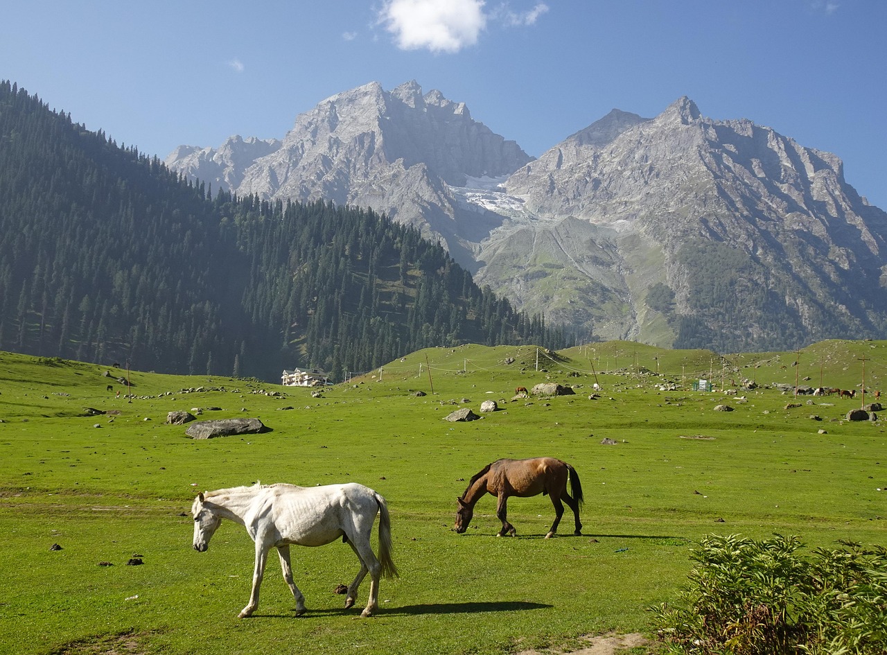 Sonmarg - Sonamarg | Secret World Trip Planner