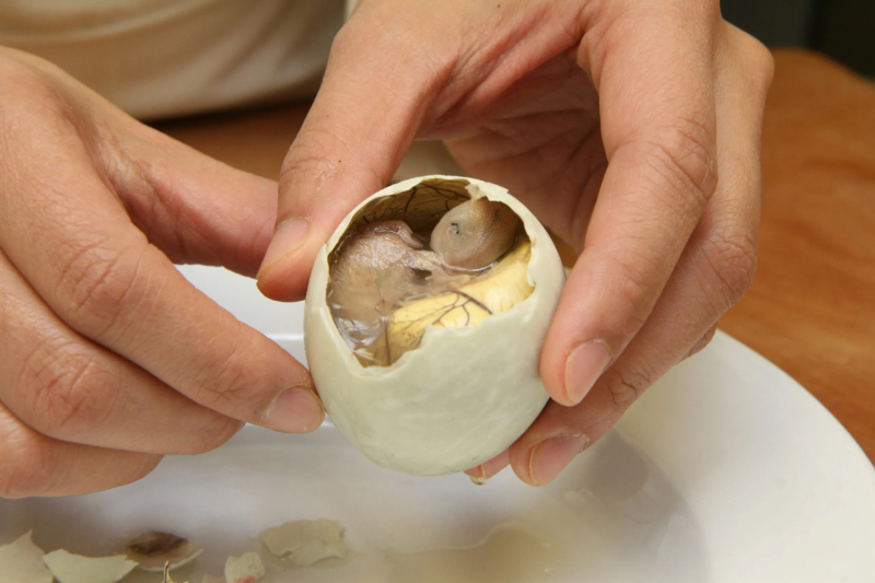 Balut - Filipiny - Manila | Secret World Trip Planner