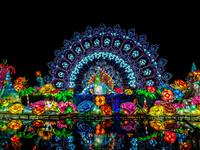 Дубай Garden Glow - Dubai | Secret World Trip Planner