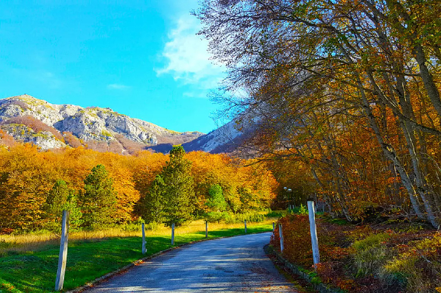 Esplorando la Natura al Valico della Forchetta e al Quarto di S. Chiara - SS84 | Secret World Trip Planner