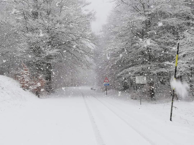 Esplorando la Natura al Valico della Forchetta e al Quarto di S. Chiara - SS84 | Secret World Trip Planner