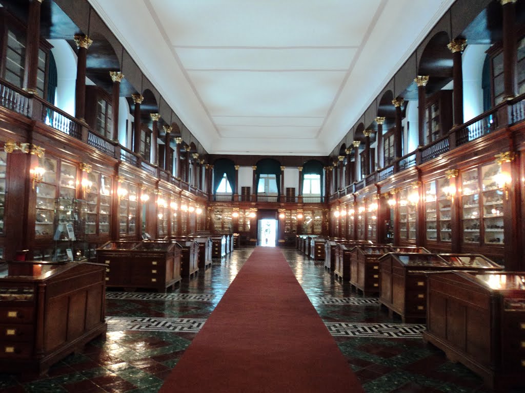 Tunay na Museo Mineralogico - Via Mezzocannone | Secret World Trip Planner