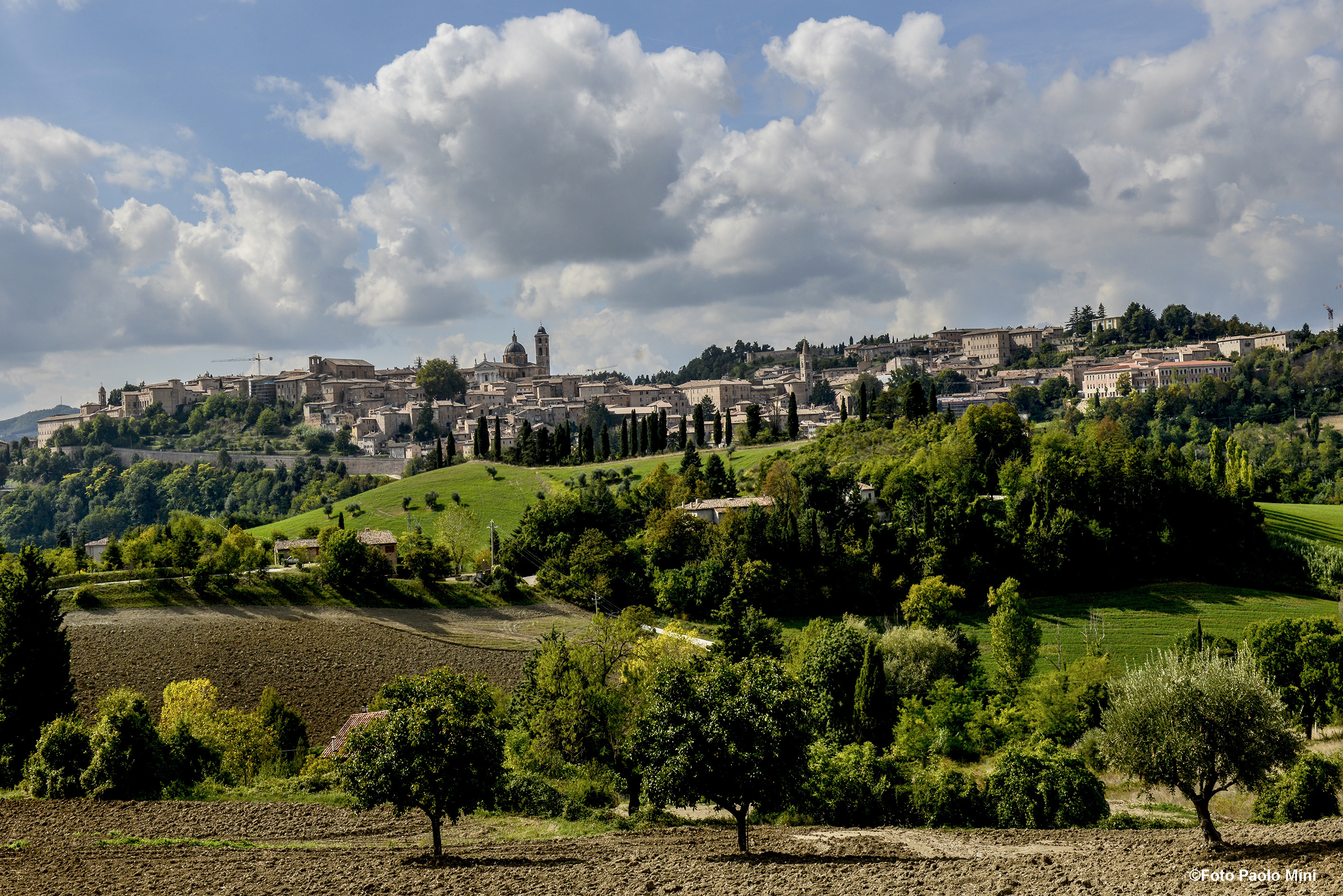 Urbino, Raphaels hemvist