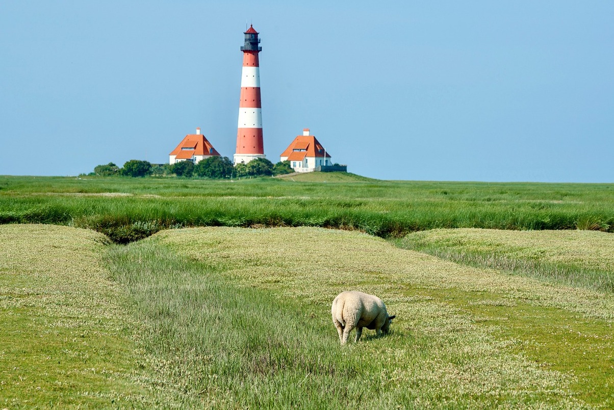 Menara Ghirlandina, simbol Modena - Modena | Secret World Trip Planner