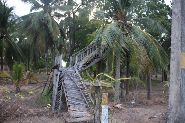 Parku Kulturor i Kokosit - Kalkudah | Secret World Trip Planner