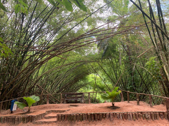 Maceio Városi Park - Maceió - AL | Secret World Trip Planner