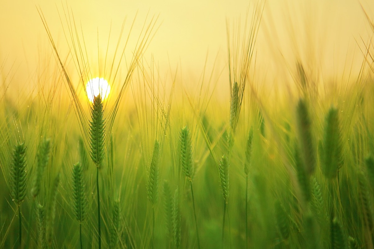 An famed oileán Capri, clós súgartha de an comhaimseartha atá leagtha scaird - Domhan Rúnda - Capri | Secret World Trip Planner