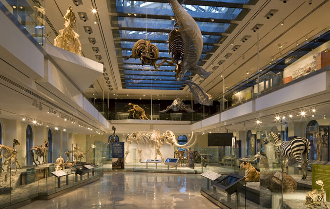 Clevelandské Múzeum prírodnej histórie - Cleveland | Secret World Trip Planner