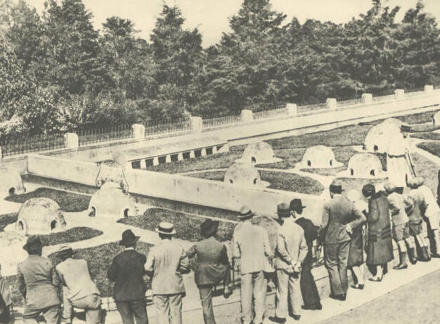 布坦坦研究所的蛇场 - São Paulo - SP | Secret World Trip Planner