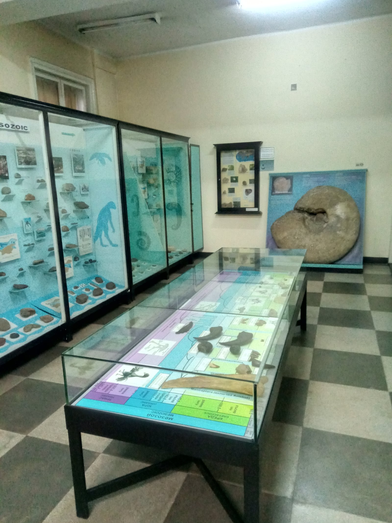 موزه ملی تاریخ طبیعی: ثروتمندترین در بالکان - Sofia | Secret World Trip Planner