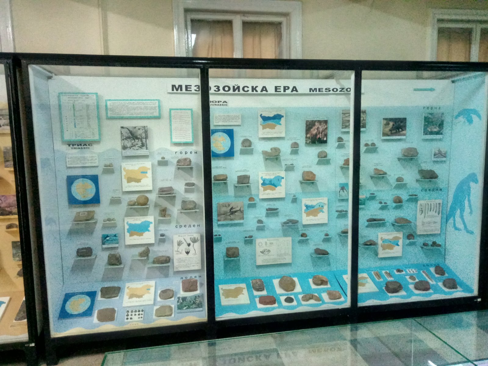 موزه ملی تاریخ طبیعی: ثروتمندترین در بالکان - Sofia | Secret World Trip Planner