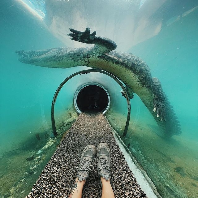 Zoološki park Miami-Dade - Miami | Secret World Trip Planner
