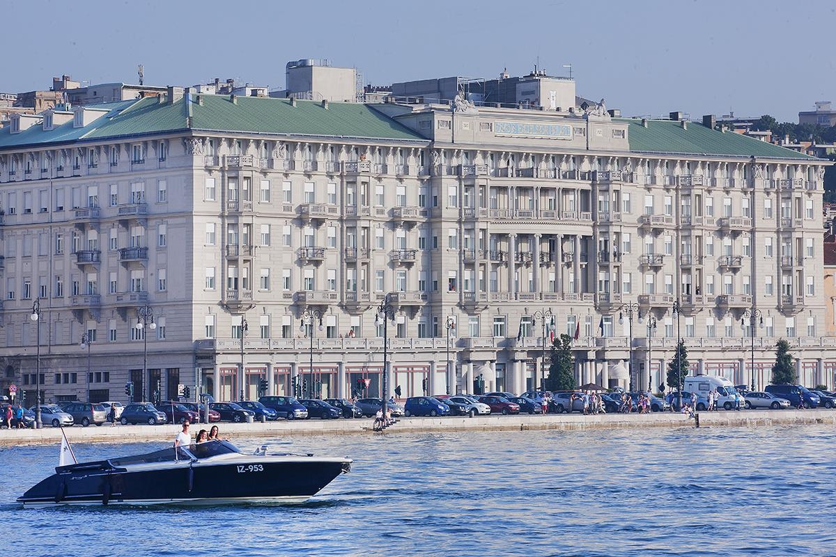 Могой загас