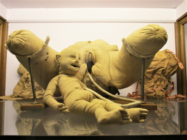 Flaubert lan Museum Sejarah Kedokteran - Rouen | Secret World Trip Planner