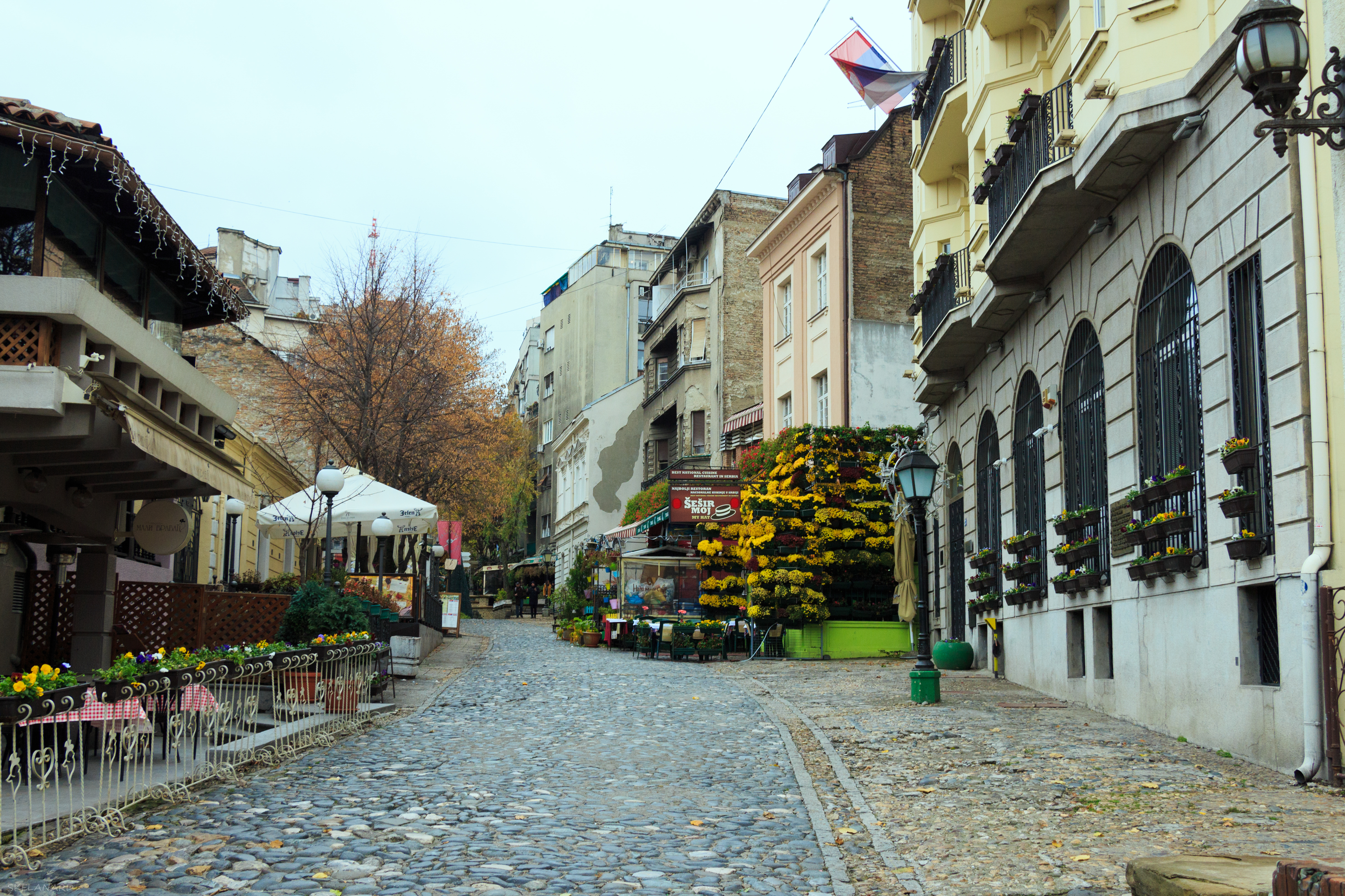 Skadarlija：贝尔格莱德最受欢迎的街区 - Belgrade | Secret World Trip Planner