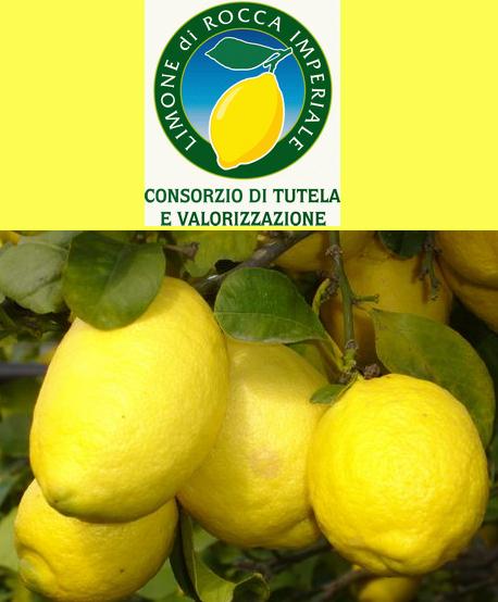 Rocca Imperiale, ຢູ່ສານຂອງ Frederick II - Rocca Imperiale | Secret World Trip Planner