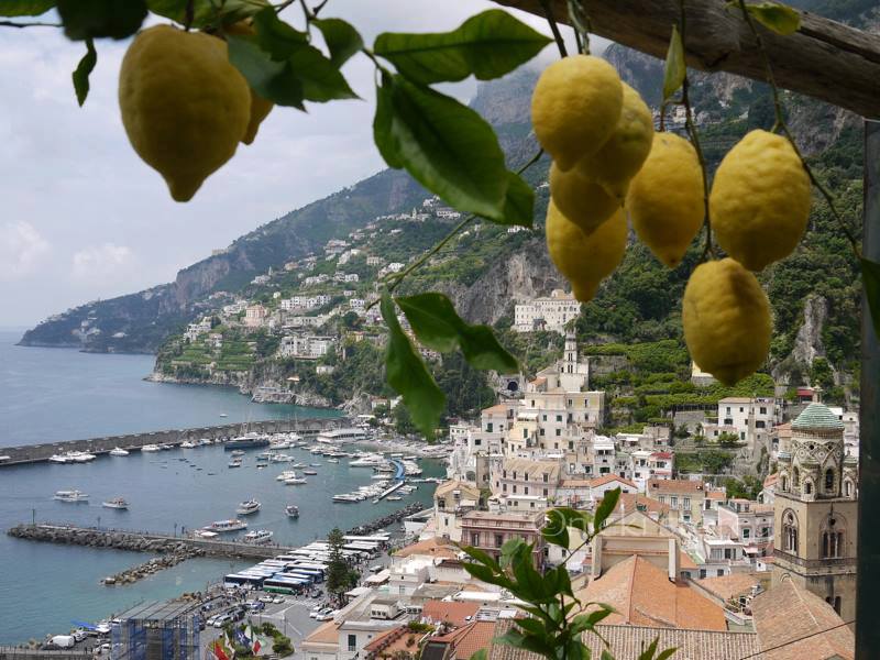 Lămâie Amalfi - Amalfi | Secret World Trip Planner