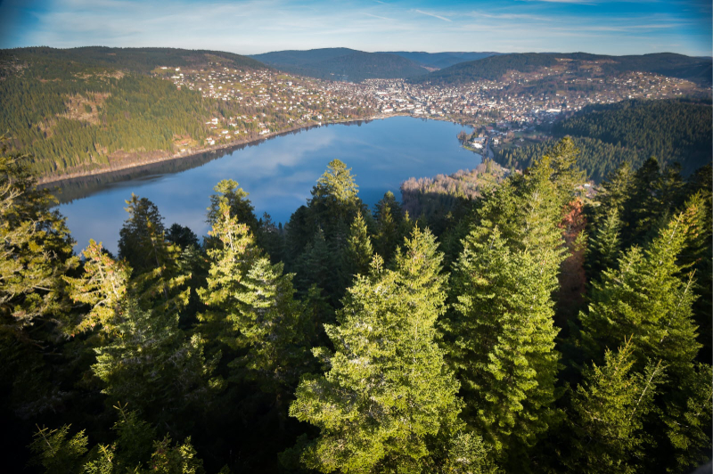 Neuvik