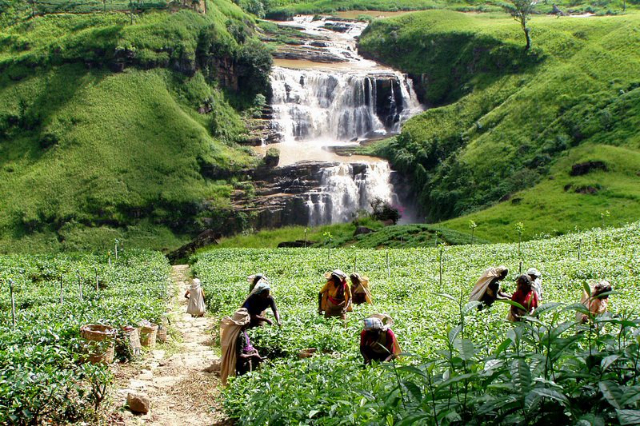 Clair Şelalesi: Küçük Niagara Şelalesi - Thalawkele | Secret World Trip Planner