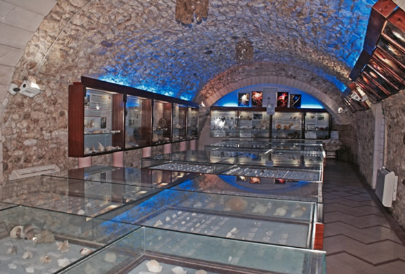 Museo Malacológico