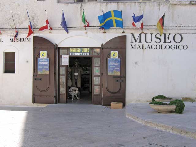 Museo Malacológico