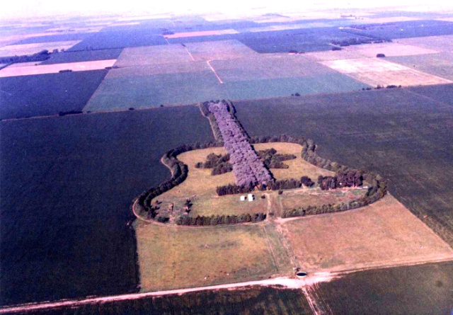 Китарната гора - General Levalle | Secret World Trip Planner