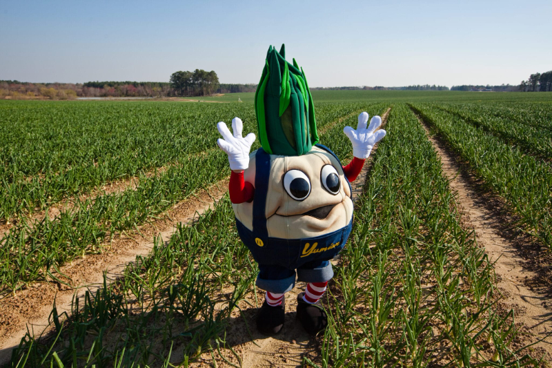 Festival luka Vidalia - Vidalia | Secret World Trip Planner