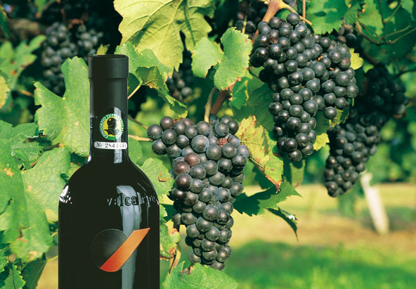 Valcalepio sodas Bergame - Carobbio degli Angeli | Secret World Trip Planner