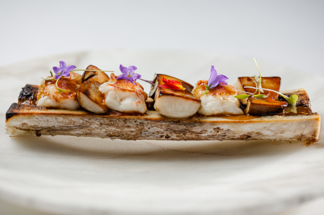 Ulía skats - Donostia | Secret World Trip Planner