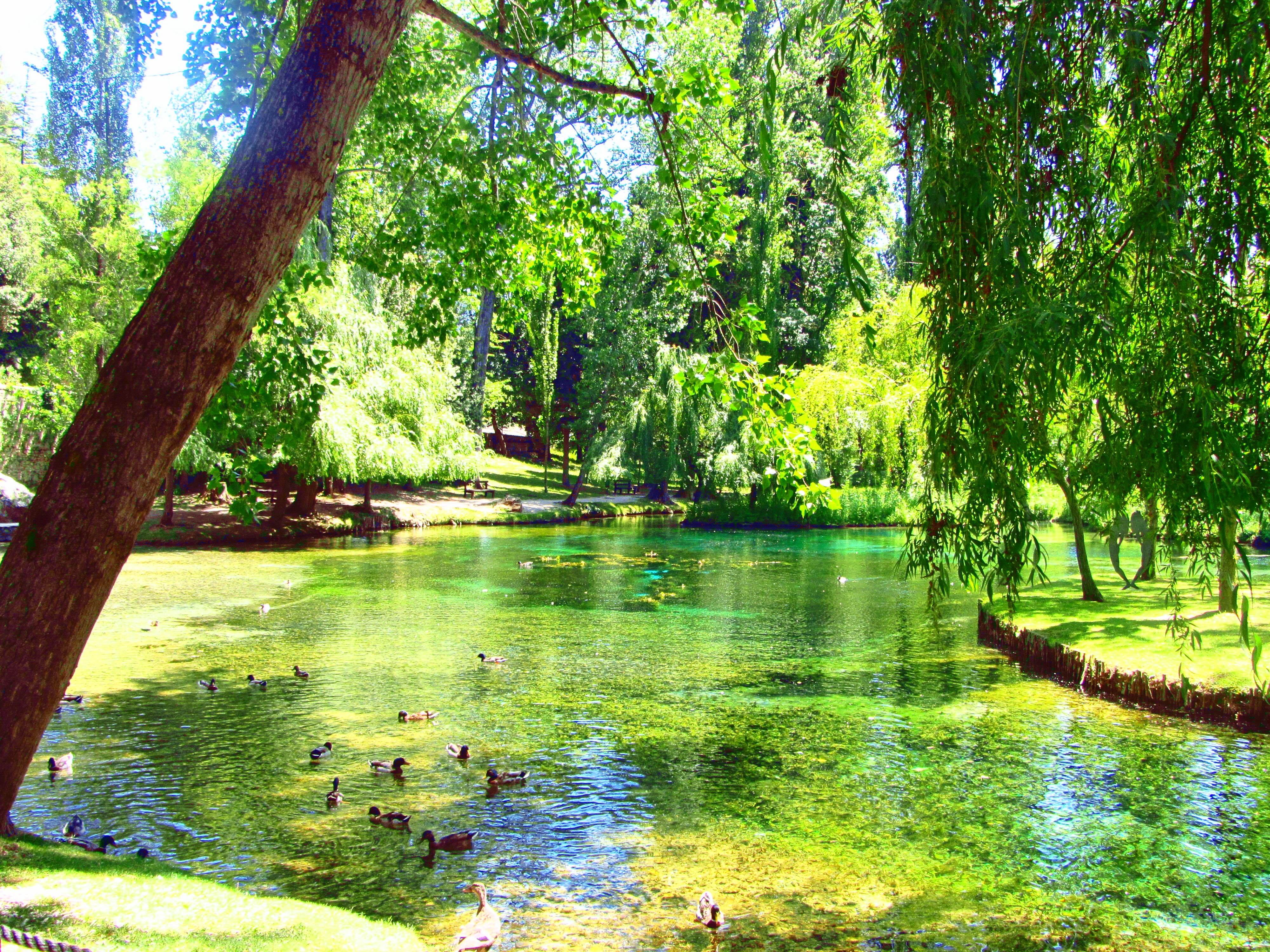 فونٹی ڈیل کلٹومنو