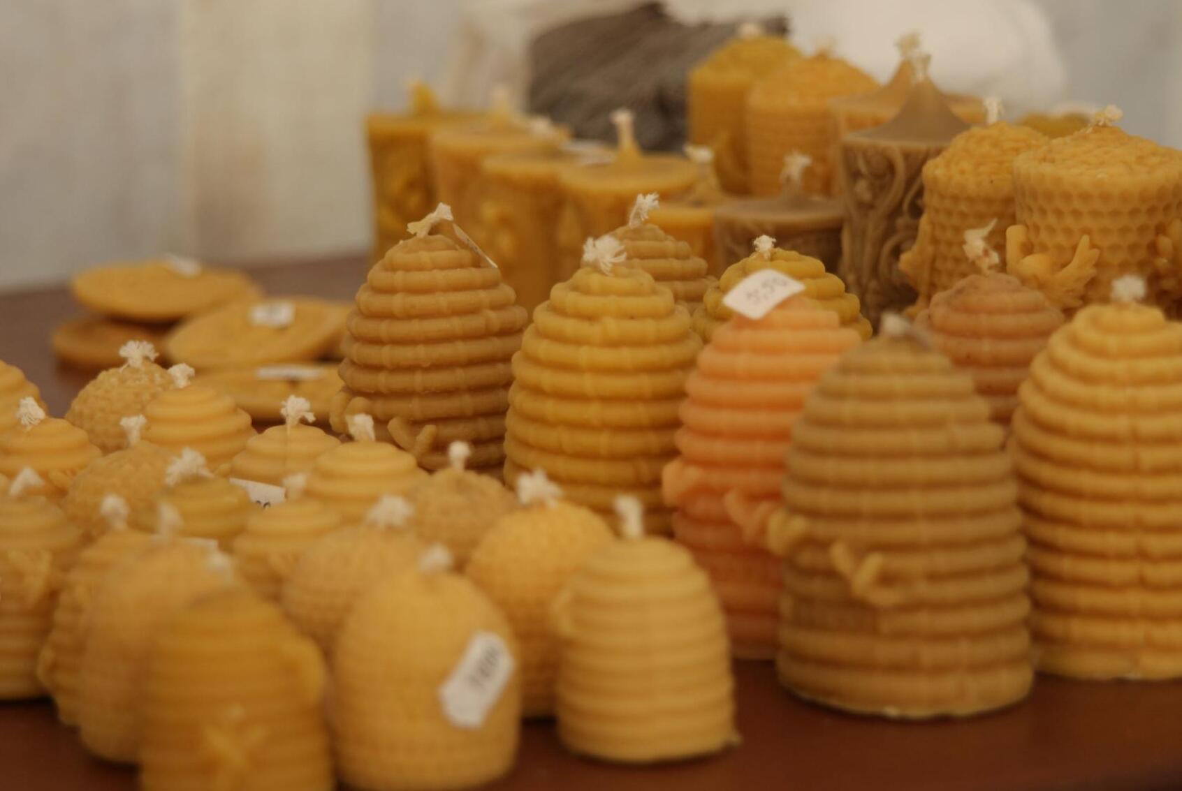 Mee ja mesilaste Muuseum - Lobbes | Secret World Trip Planner