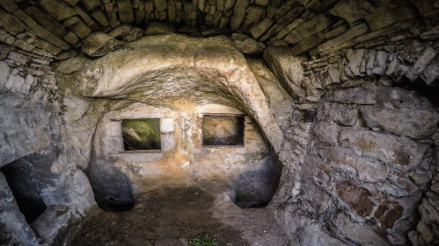 مدينة Pietragalla النخيل - Pietragalla | Secret World Trip Planner