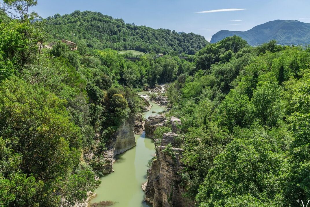 Marka: Giant tłumiki - 5 | Secret World Trip Planner